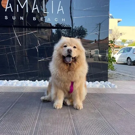 Apartamento Amalia Sun Vrasná